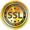 Bzoomer ssl Bzoomer backlinks building